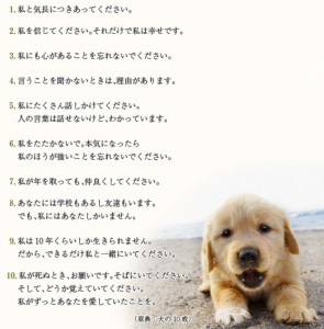 犬と私の10の約束