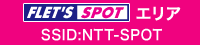 NTT-SPOT